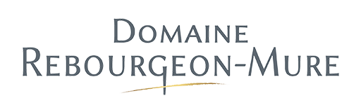 Domaine Rebourgeon Mure, vigneron à Pommard